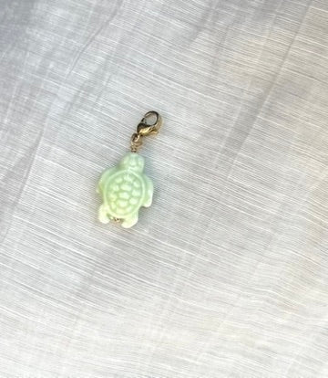 ''Make Your Own'' Green Turtle