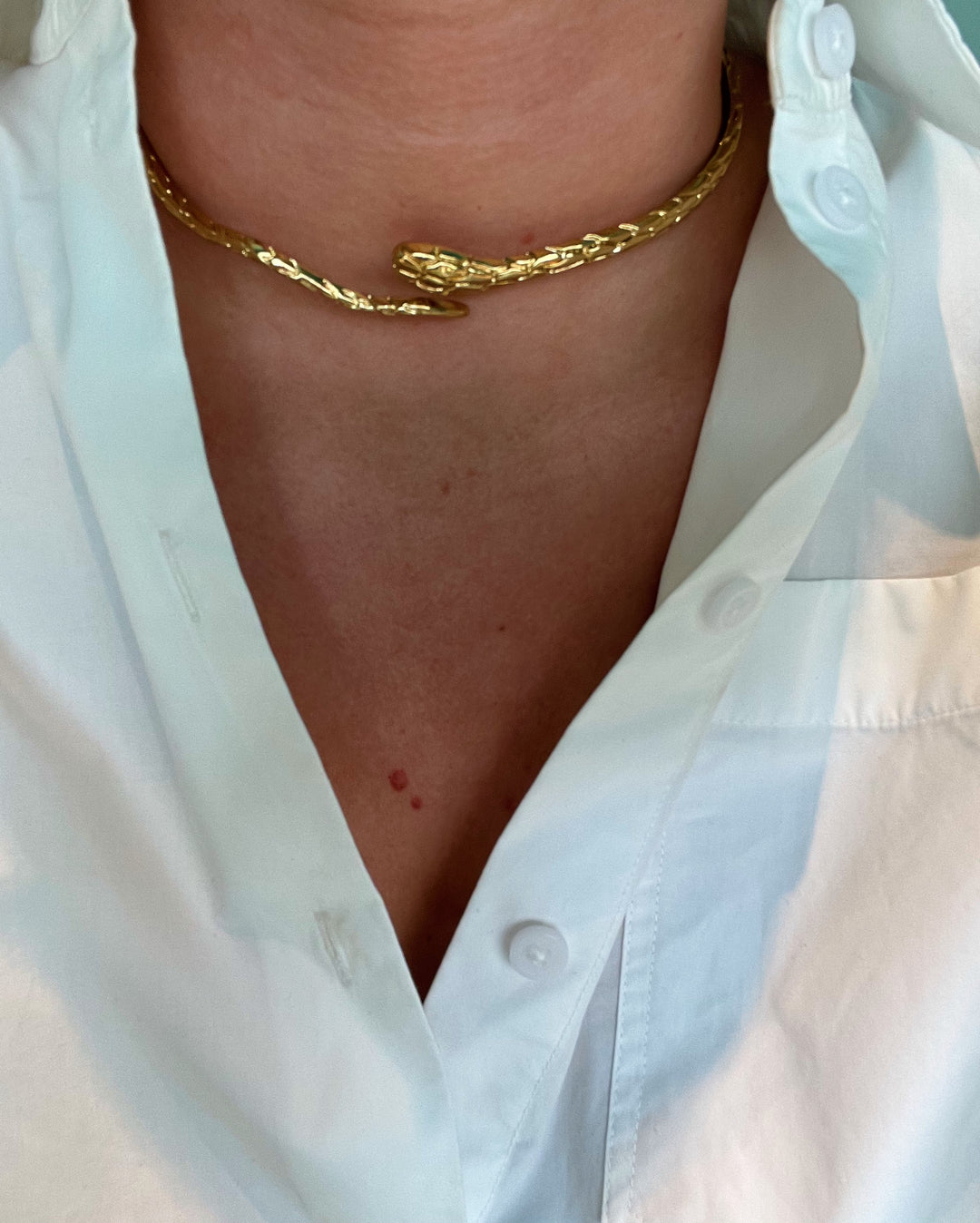 Choker Snake Necklace